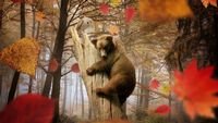 pic for Bear In Autumn Forest 